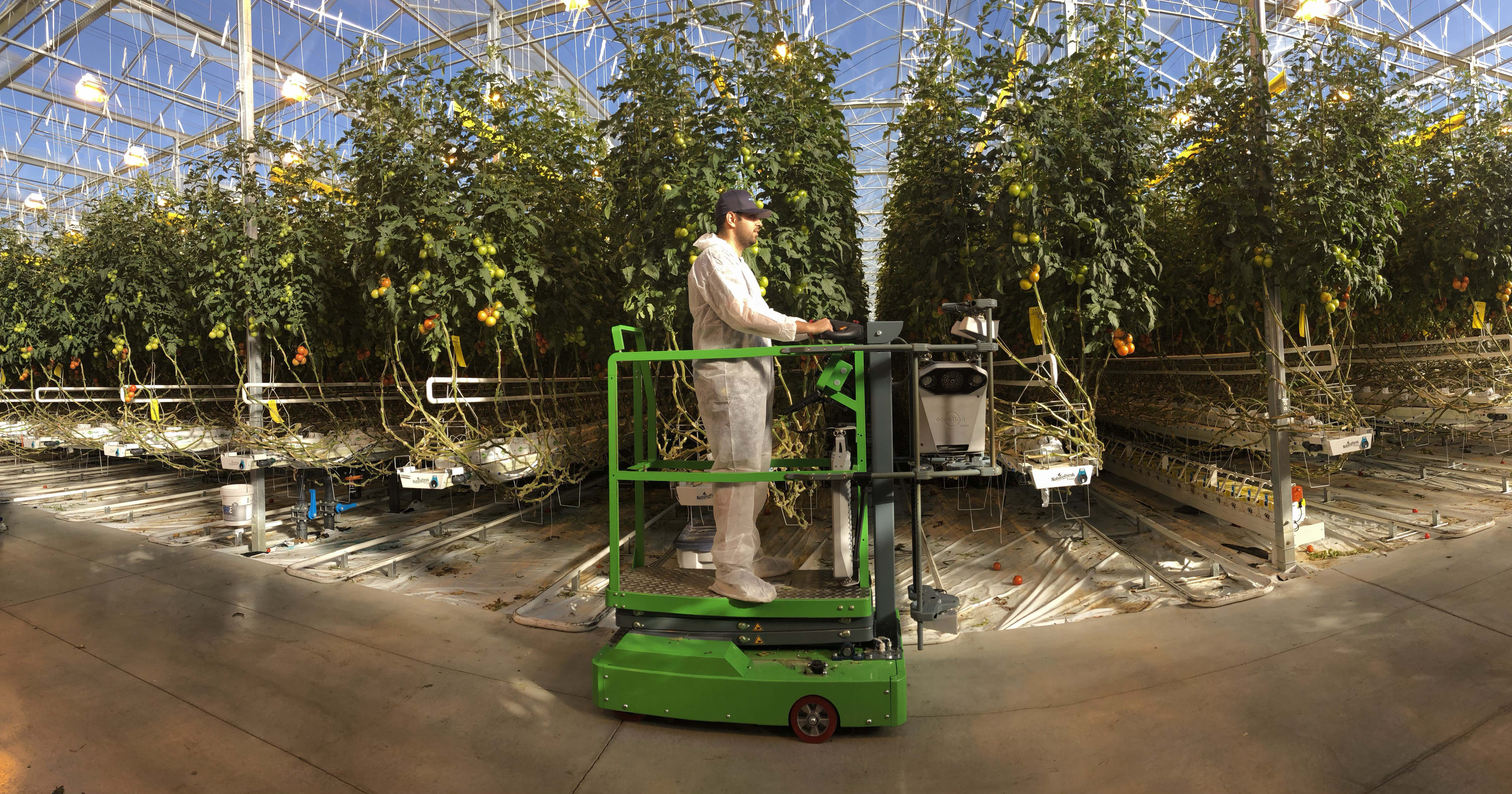 man on machine in large greenhouse with many plants