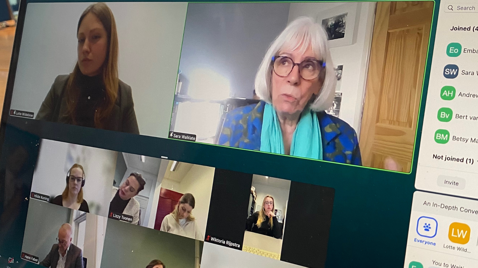 Screenshot of Zoom webinar call