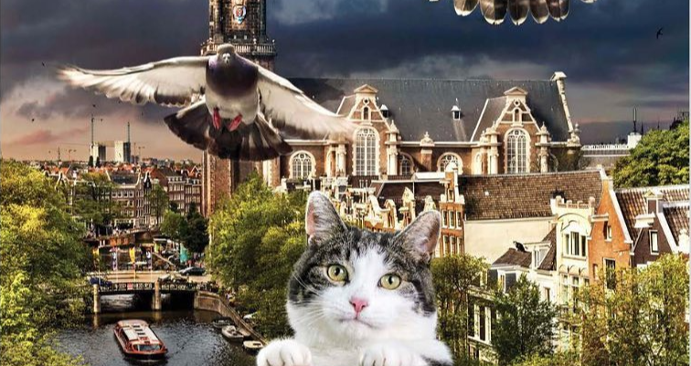Poster of film Wild Amsterdam