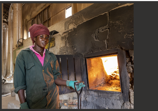 Esther,30 yrs, a fuel production agent at Sanivation.