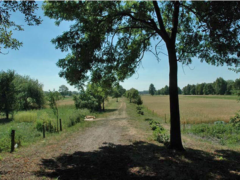 Landscape of Zuławy region, Polder created by the Dutch colonists Mennonites.