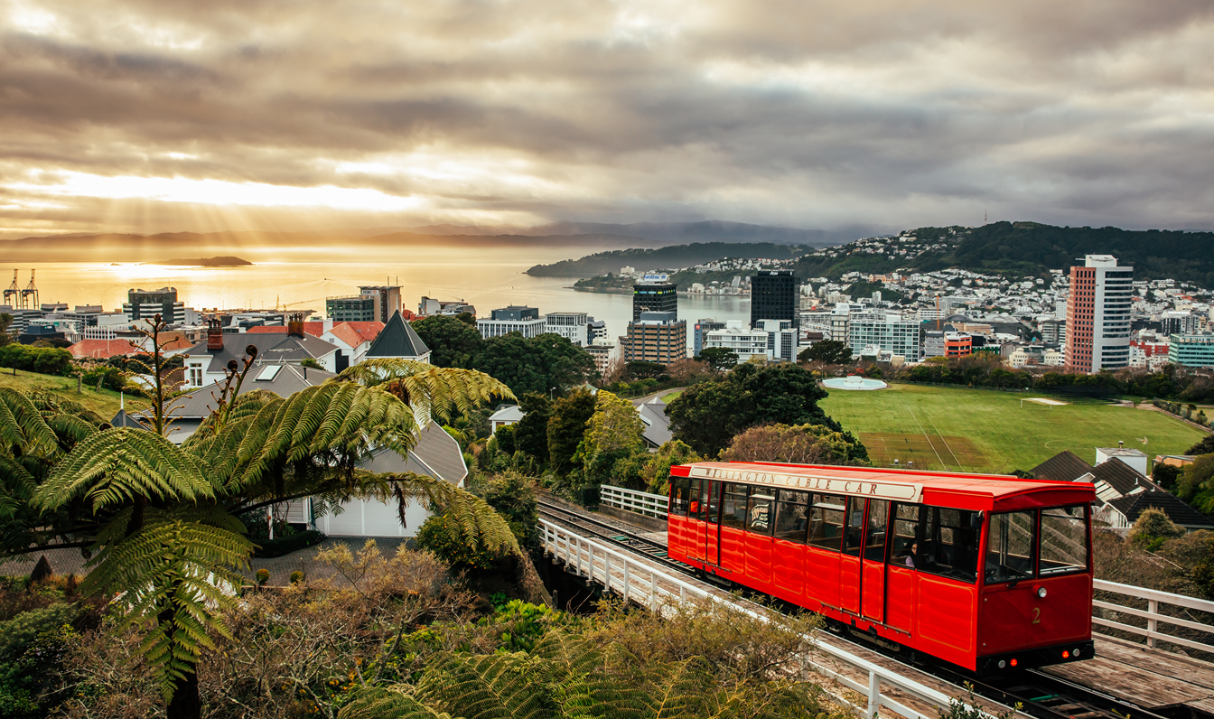 Wellington city