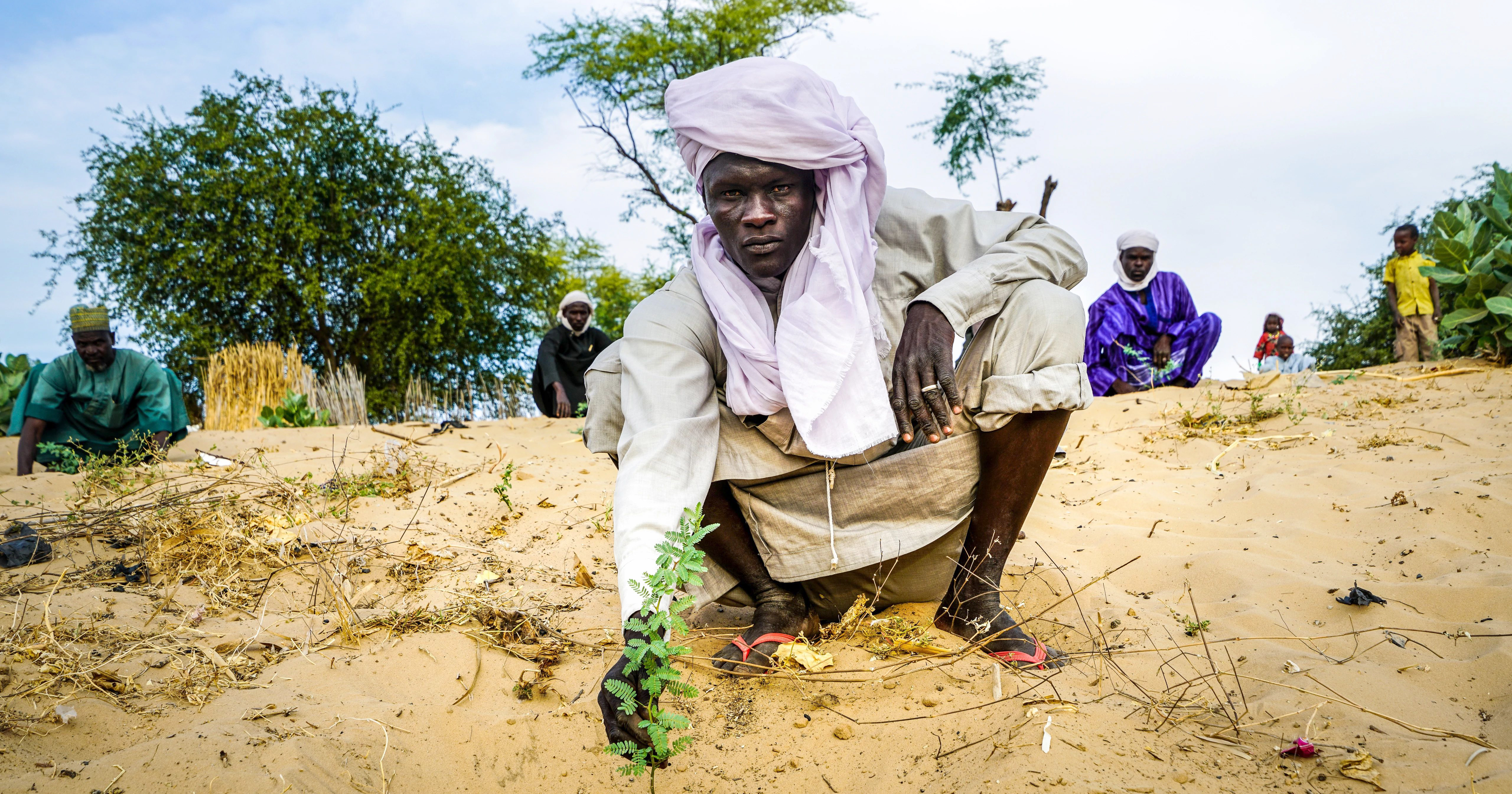Local communities are fighting against desertification in Lake Chad region.
