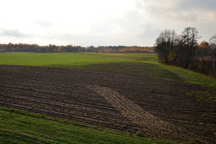 Polish agricultural land