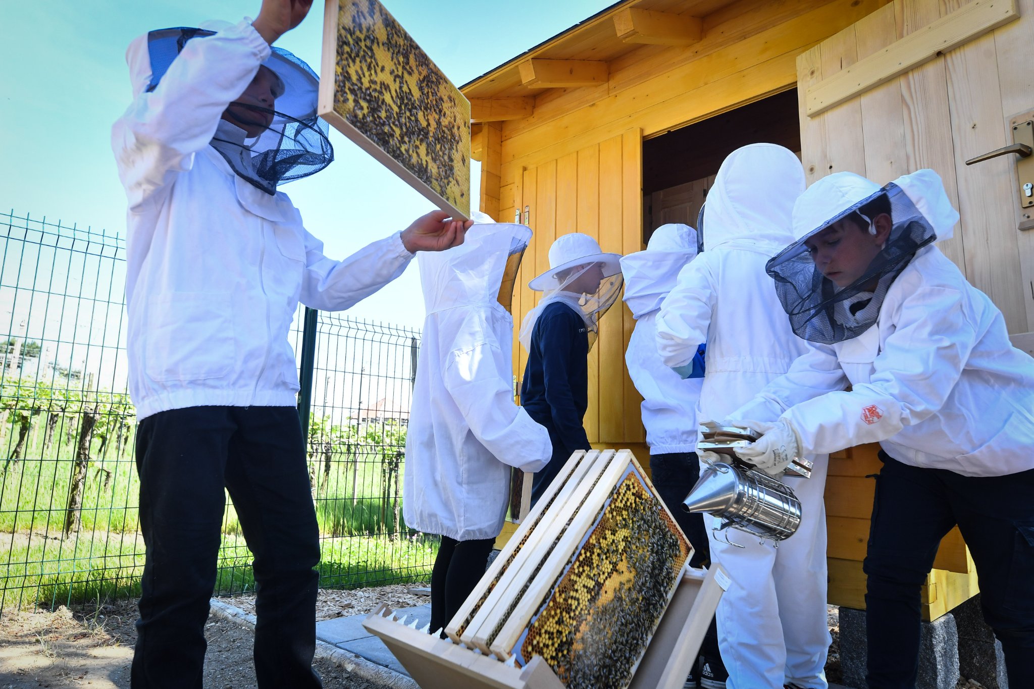 Beehouse offered to a primary school by Dutch Belgian and Luxembourg embassies.