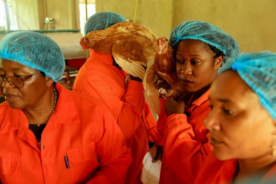 Women participation in the poultry trainings