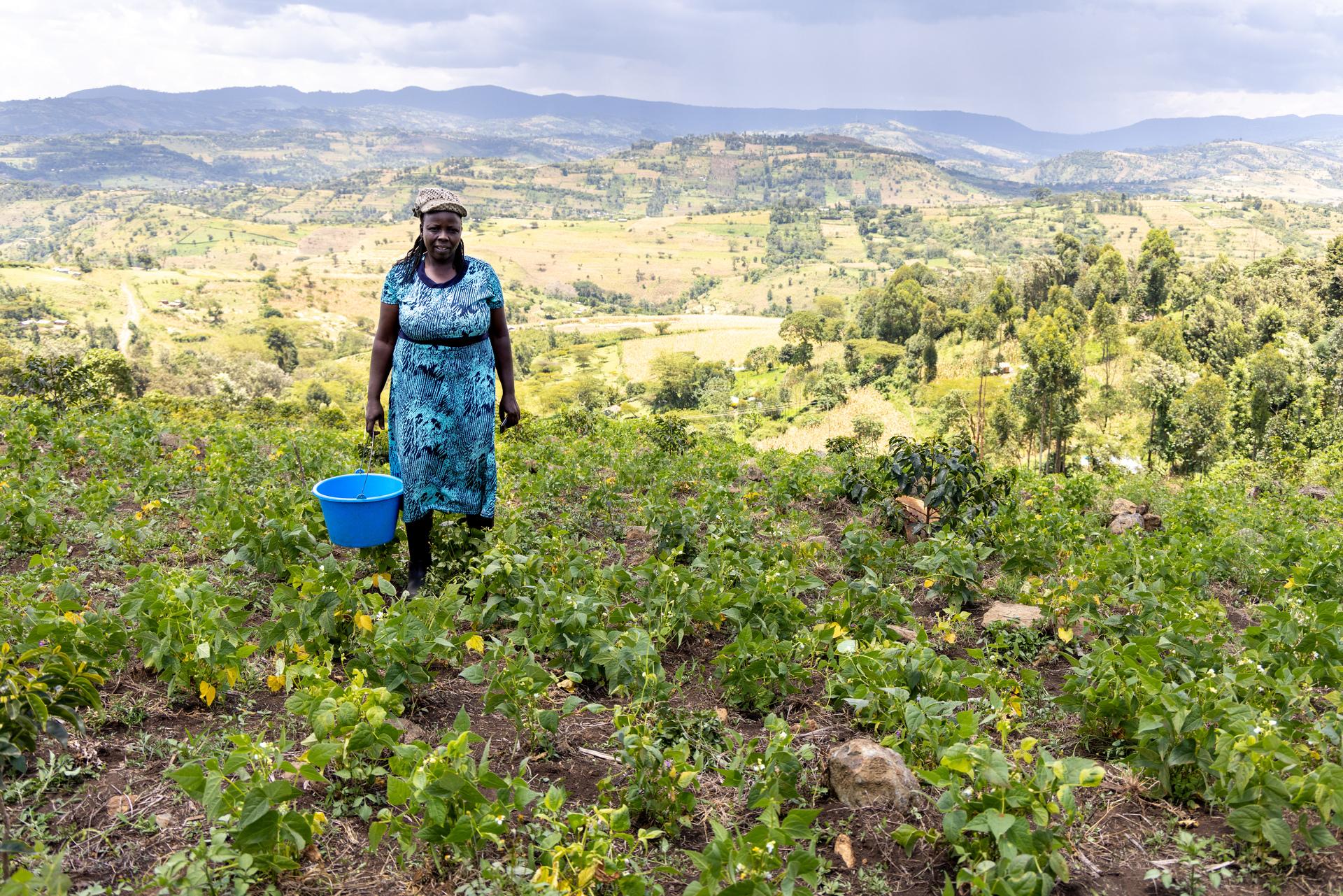 Farmer in her field with beans in Eastern Uganda