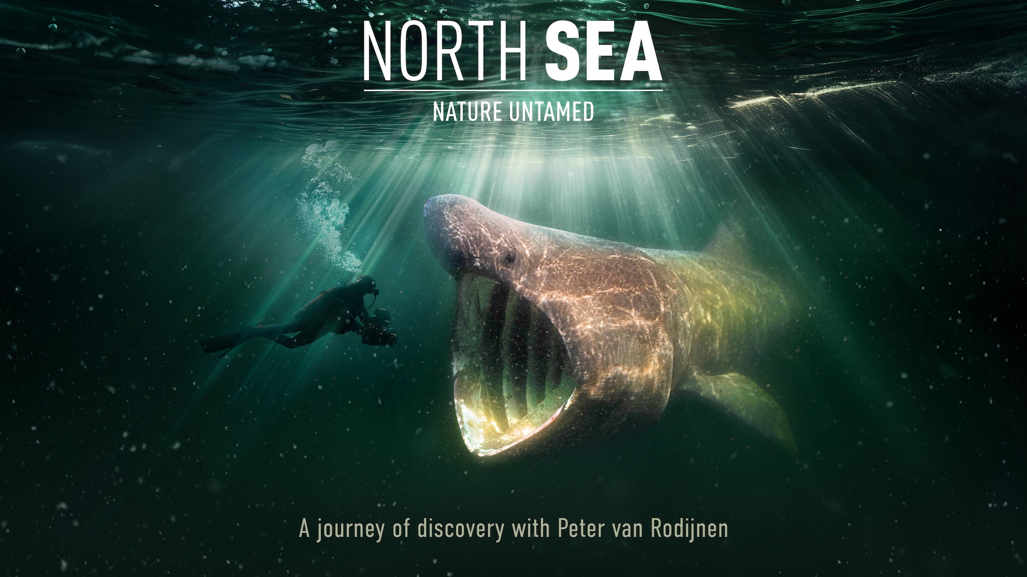 The film North Sea, Nature Untamed is coming to cinemas in the UK