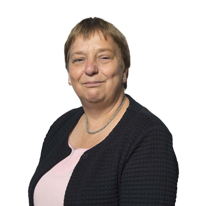 Ambassador Vatican City The Netherlands and Vatican City