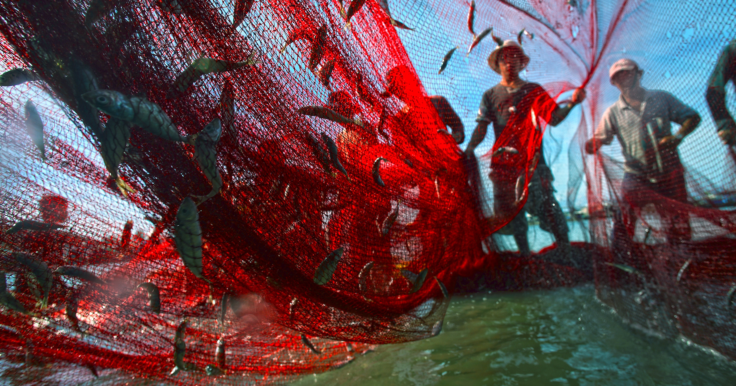 Fishermen bring in the daily catch in south-eastern Vietnam.